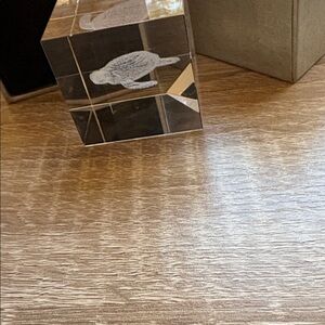 Crystal Cube with Etched Animal Design